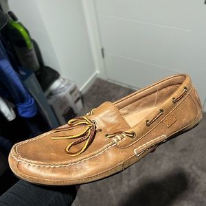 Polo Sperry boat shoes